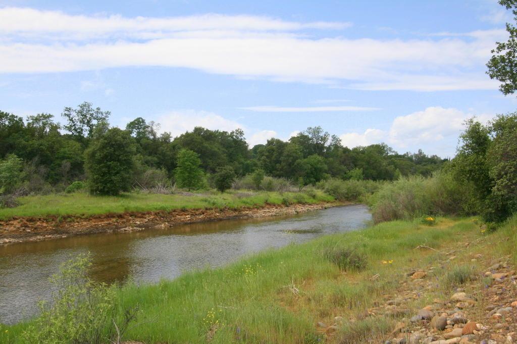 42 Acres Oak Bottom Road - Photo 1
