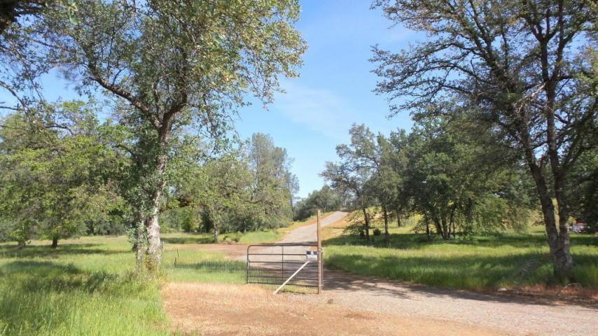 7384 Honeybee Rd - Photo 1