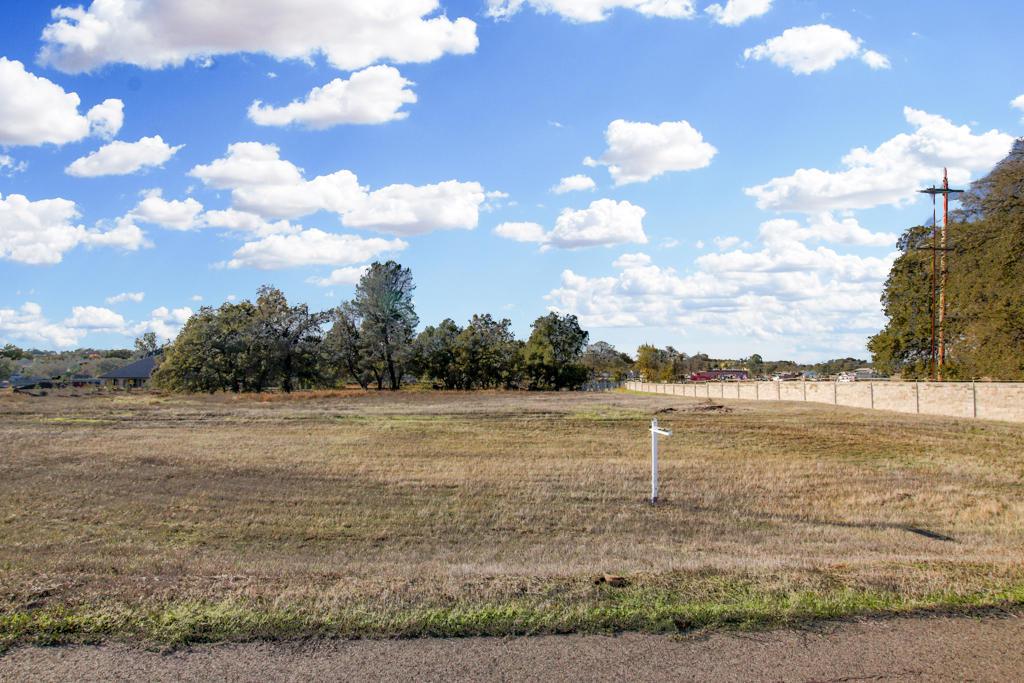 Lot 27 Palo Cedro Oaks - Photo 1