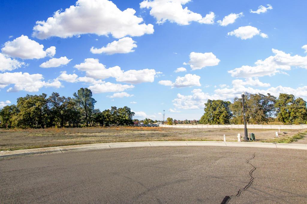 Lot 28 Palo Cedro Oaks - Photo 1