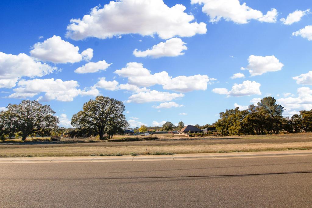 Lot 30 Palo Cedro Oaks - Photo 1