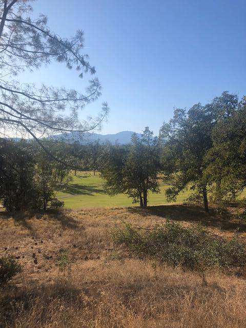 1880 Gold Hills Dr - Photo 1