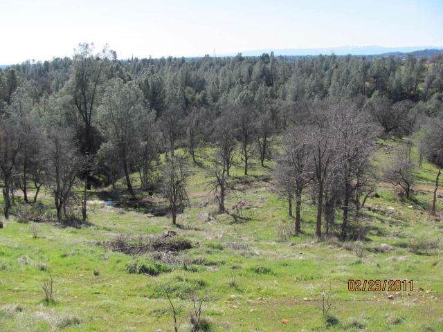 255 Lost Rd - Photo 1