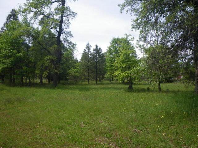 29688 Hwy 299 - Photo 1