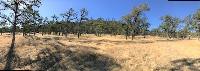 9068 Straight Arrow Rd - Photo 1