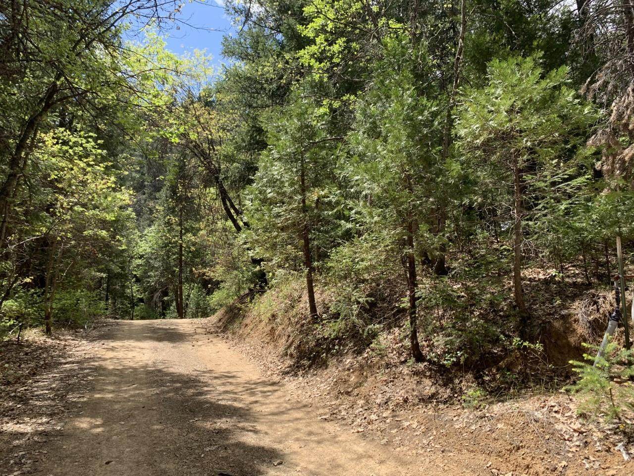 1041 Carrville Loop Rd - Photo 1