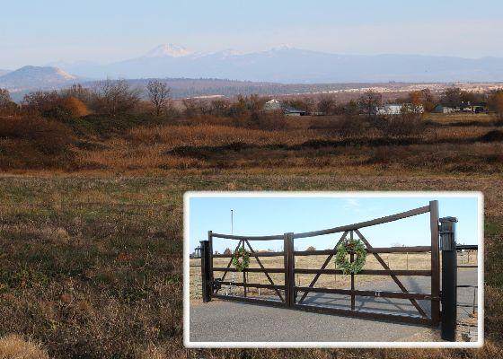 5 AC. Webb Rd. - Photo 1