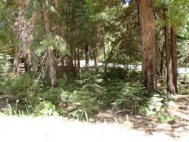 Mountains Meadow - Photo 1