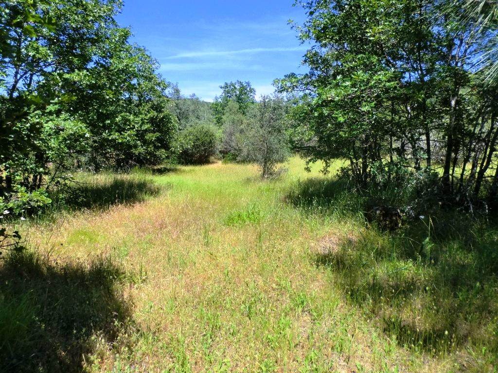 10 acres Patterson Ranch Rd - Photo 1