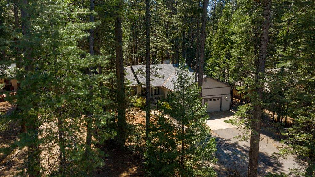 30873 Bambi Dr - Photo 1
