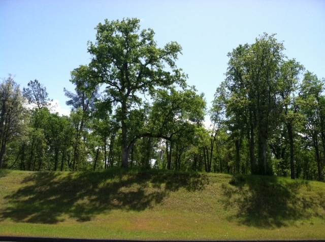 Lot 34 Alicia Pkwy - Photo 1