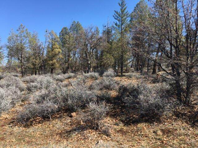 Shoshoni Loop - Photo 1