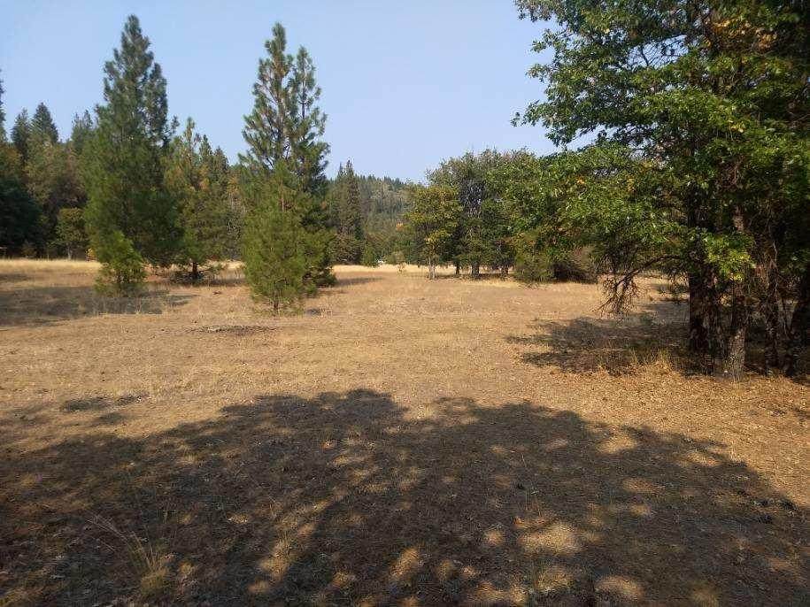 10.14 Acres-Kidder Creek Rd. - Photo 1