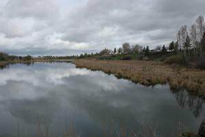 Hwy 299 E - Photo 1