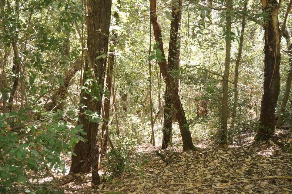 https://bt-photos.global.ssl.fastly.net/shasta/orig_boomver_1_23-4769-2.jpg