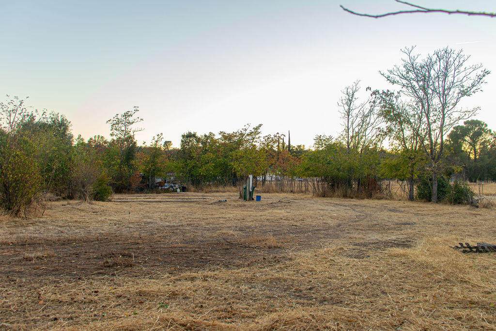 11958 Buena Vista Ct Avenue - Photo 1