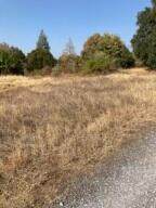 4.75 acres Frisby Rd Road - Photo 6