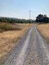 4.75 acres Frisby Rd Road - Photo 8