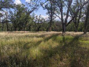 Palo Cedro Drive Drive - Photo 1