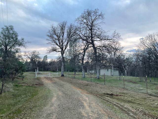 16535 Po Boy Lane - Photo 1
