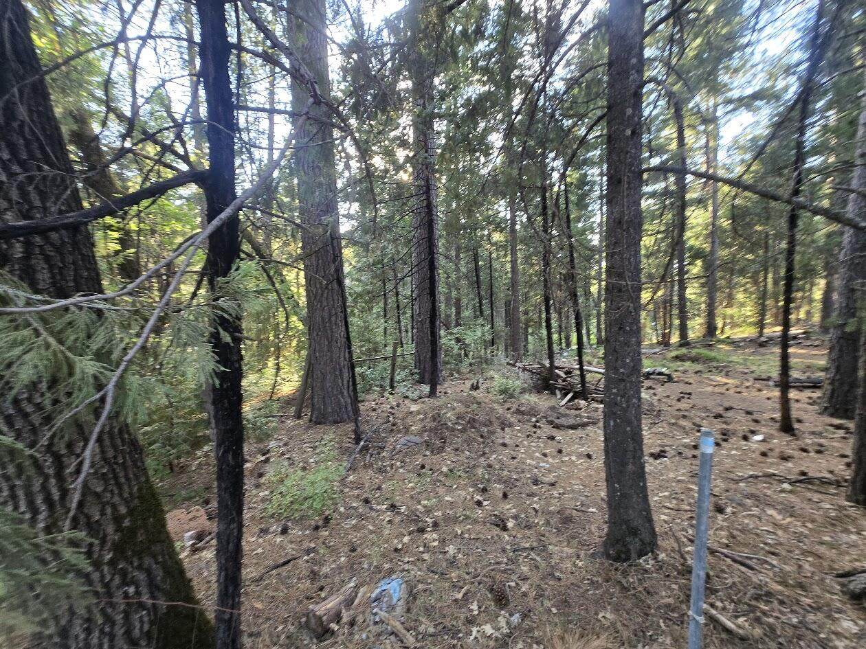  Frontier Road - Photo 1