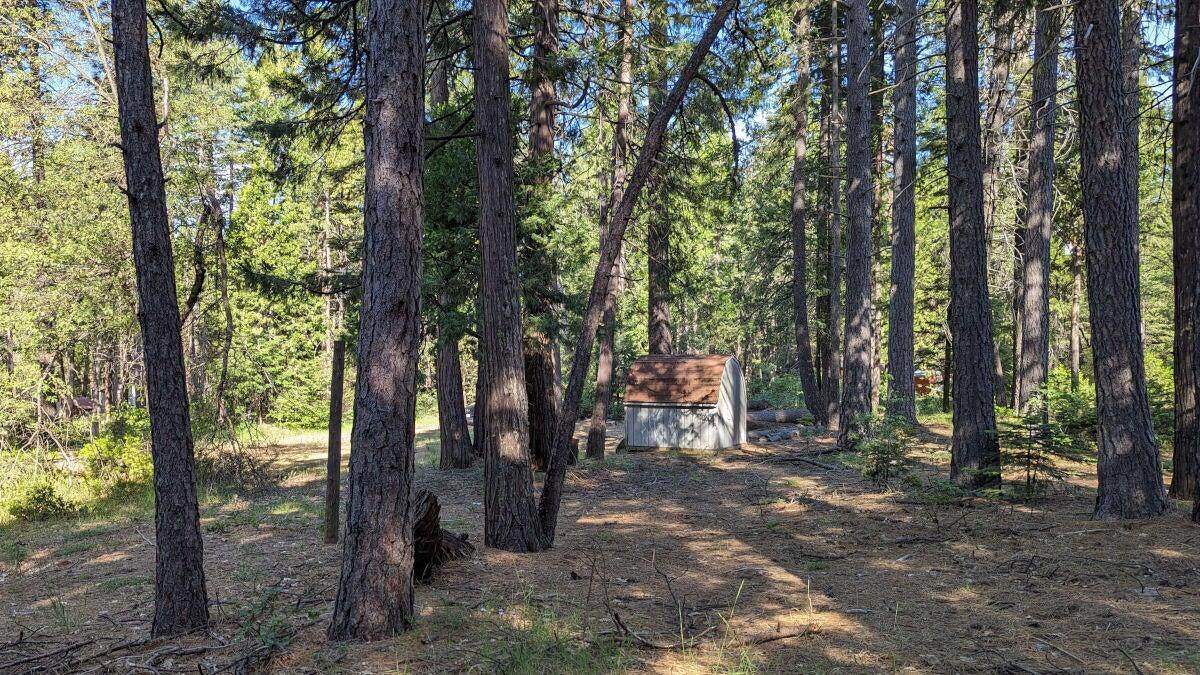 7693 Linda Road - Photo 1