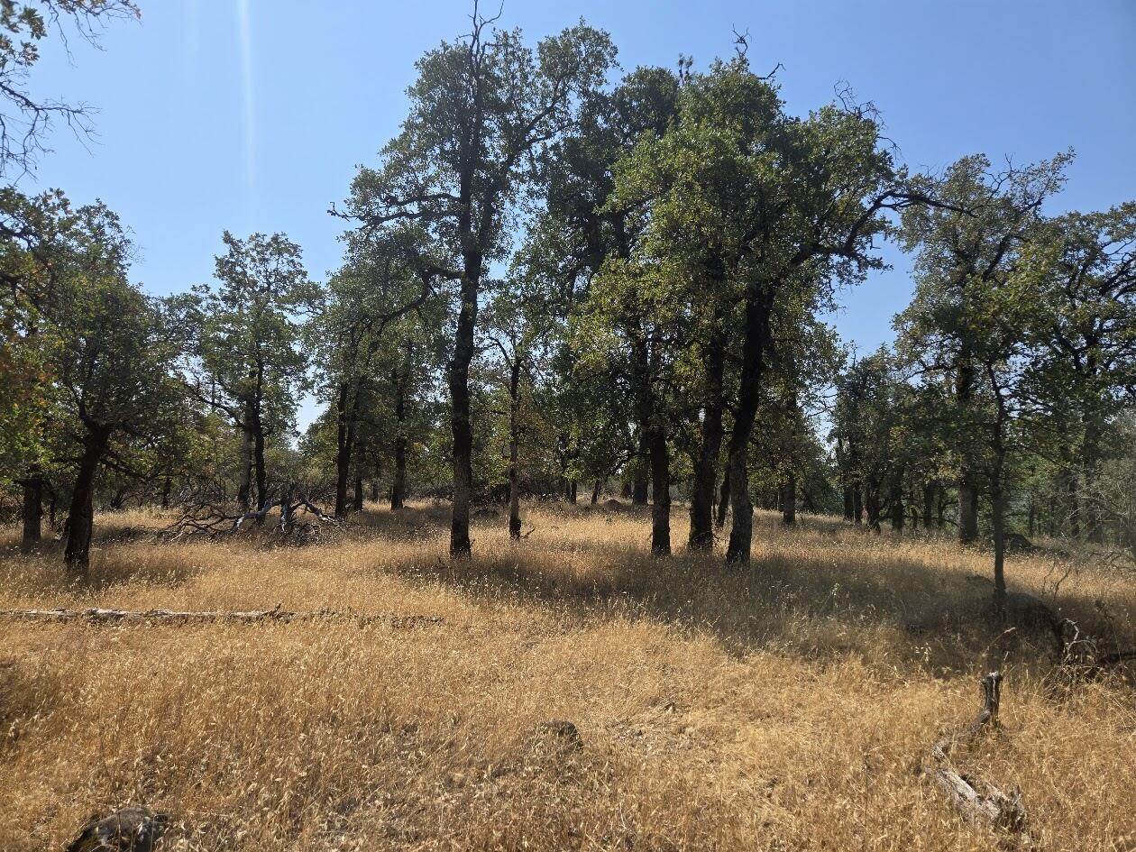 Mccandless Gulch Road - Photo 1