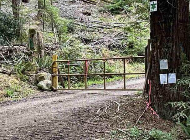 834 Blue Rock Ranch Road - Photo 1