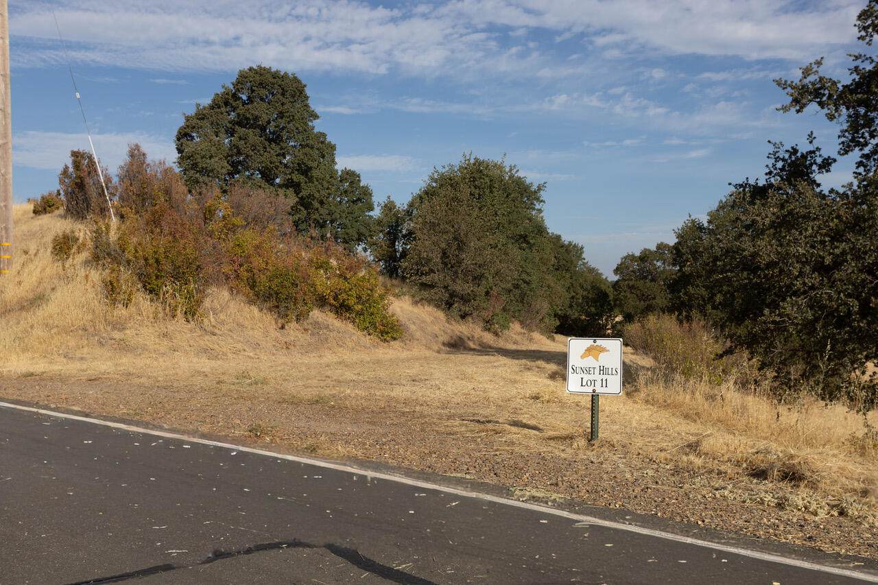 20655 Sunset Hills Drive - Photo 1