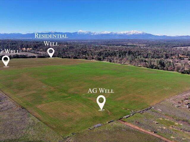 00 Old Gold - Photo 1