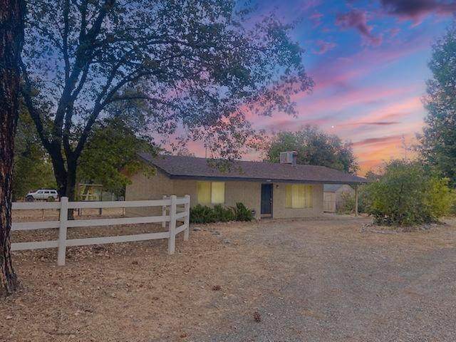 12097 Romar Street - Photo 1