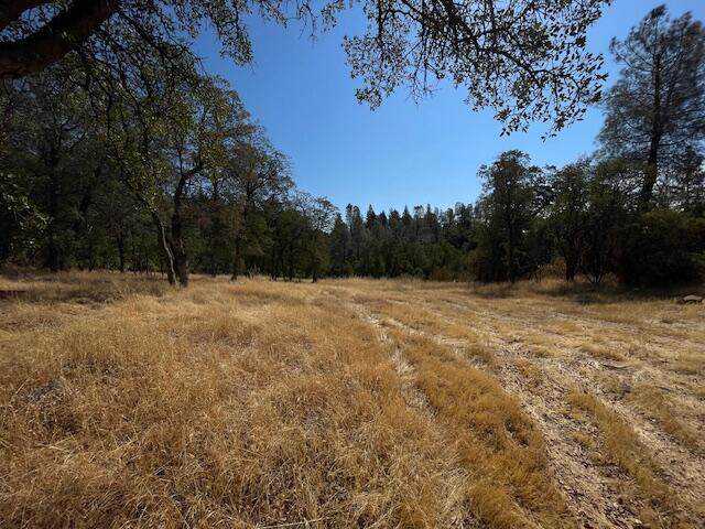 0001 Madison Avenue - Photo 1