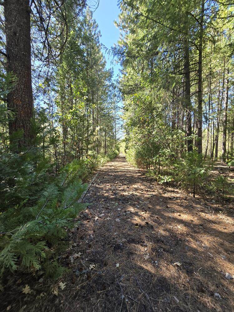 Lot 158 Bridger Way - Photo 1