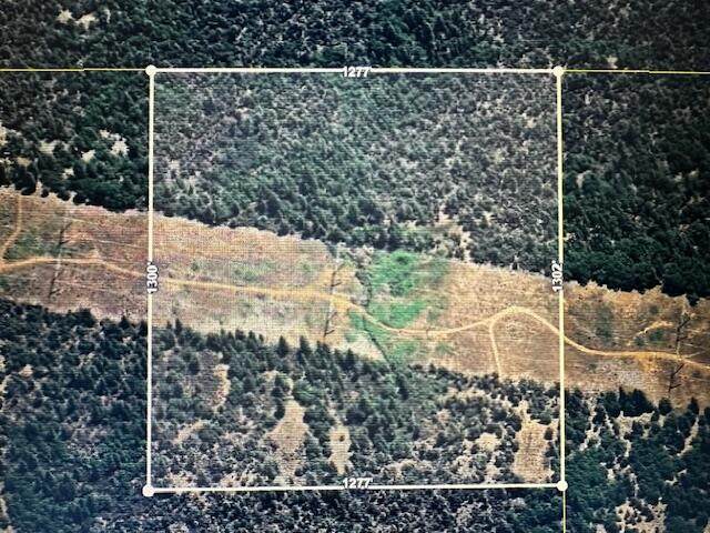  Little Creek40 Lane - Photo 1