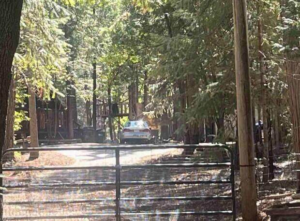 30889 Bambi Drive - Photo 1