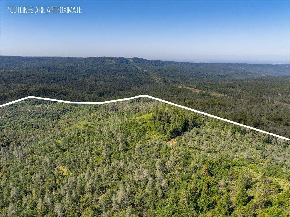  Melton Road - Photo 1