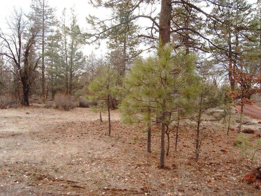 000 Big Lake Road - Photo 1