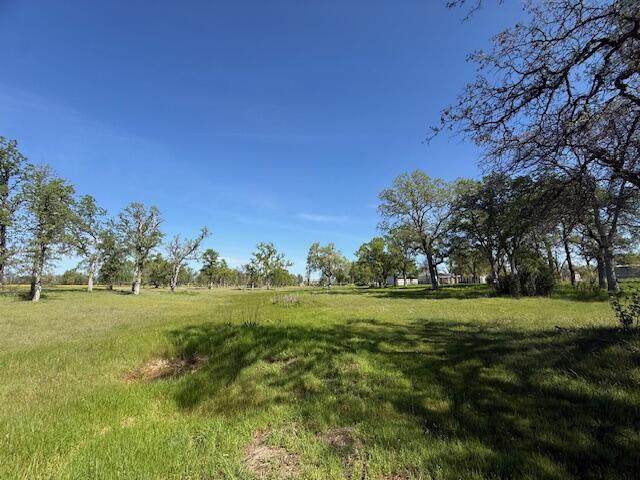 21752 Hidden Acres Road - Photo 1
