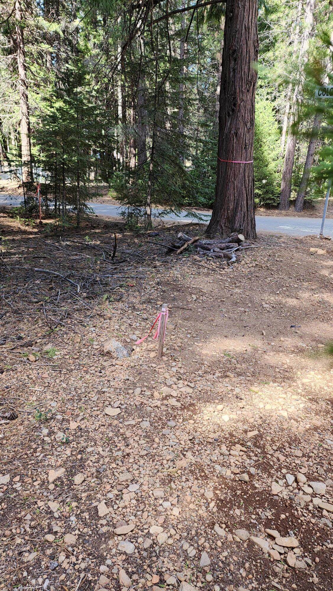 https://bt-photos.global.ssl.fastly.net/shasta/orig_boomver_1_26-1111-2.jpg
