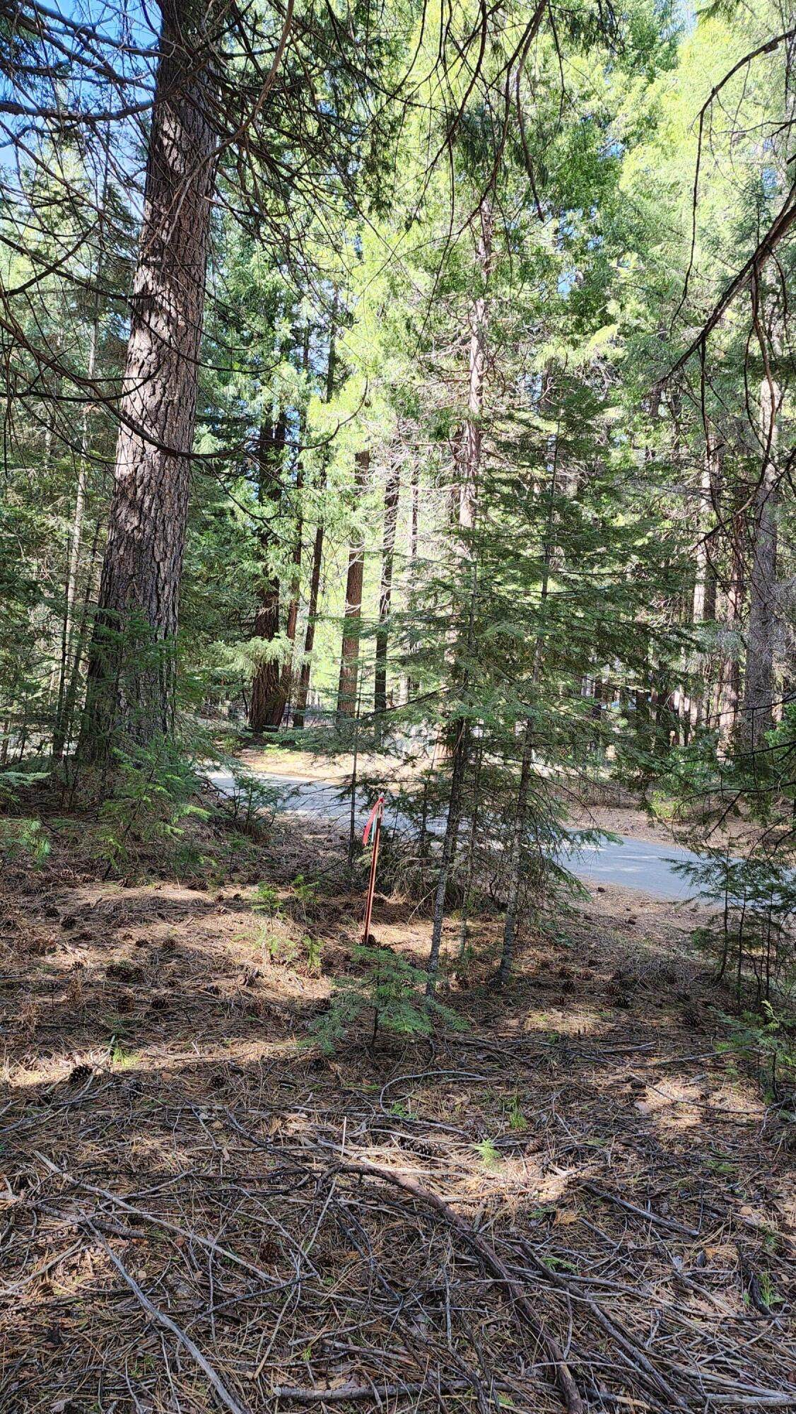 https://bt-photos.global.ssl.fastly.net/shasta/orig_boomver_1_26-1111-2.jpg