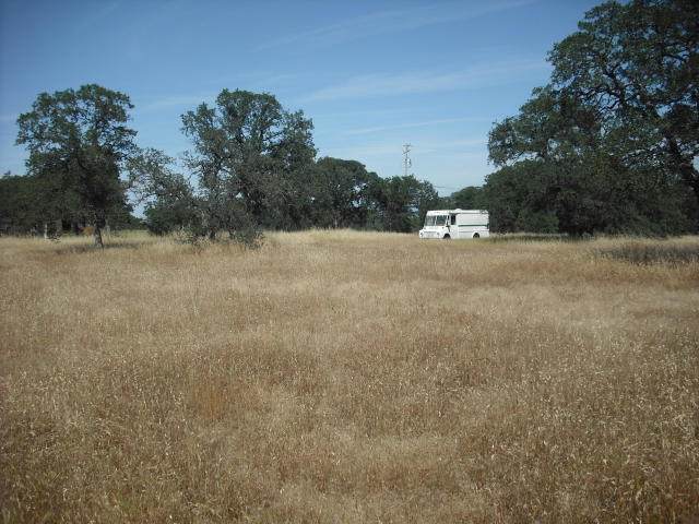  Jim Dandy Road - Photo 1