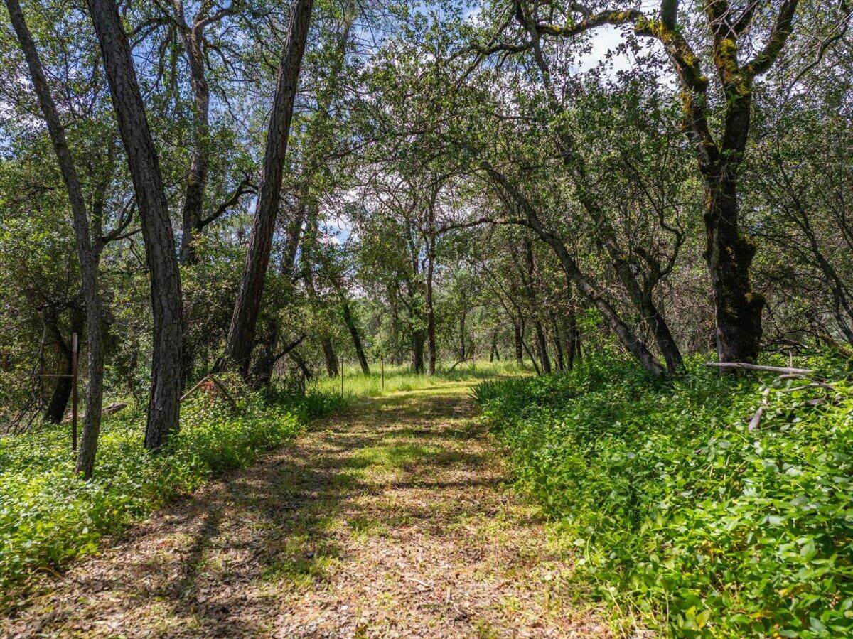 506 Black Canyon Road - Photo 1