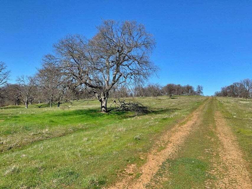 Lot 21 Lawndale Drive - Photo 1