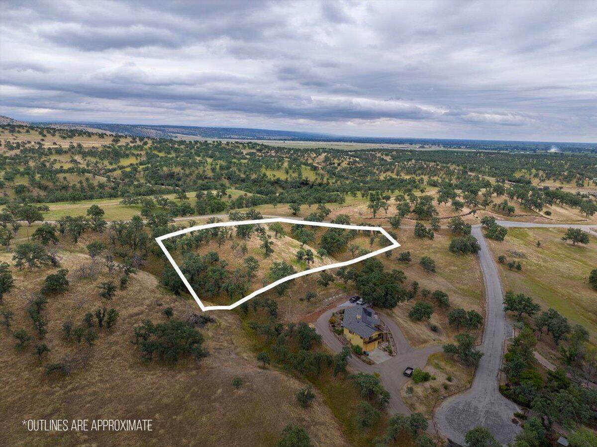  Paynes Creek Road - Photo 1