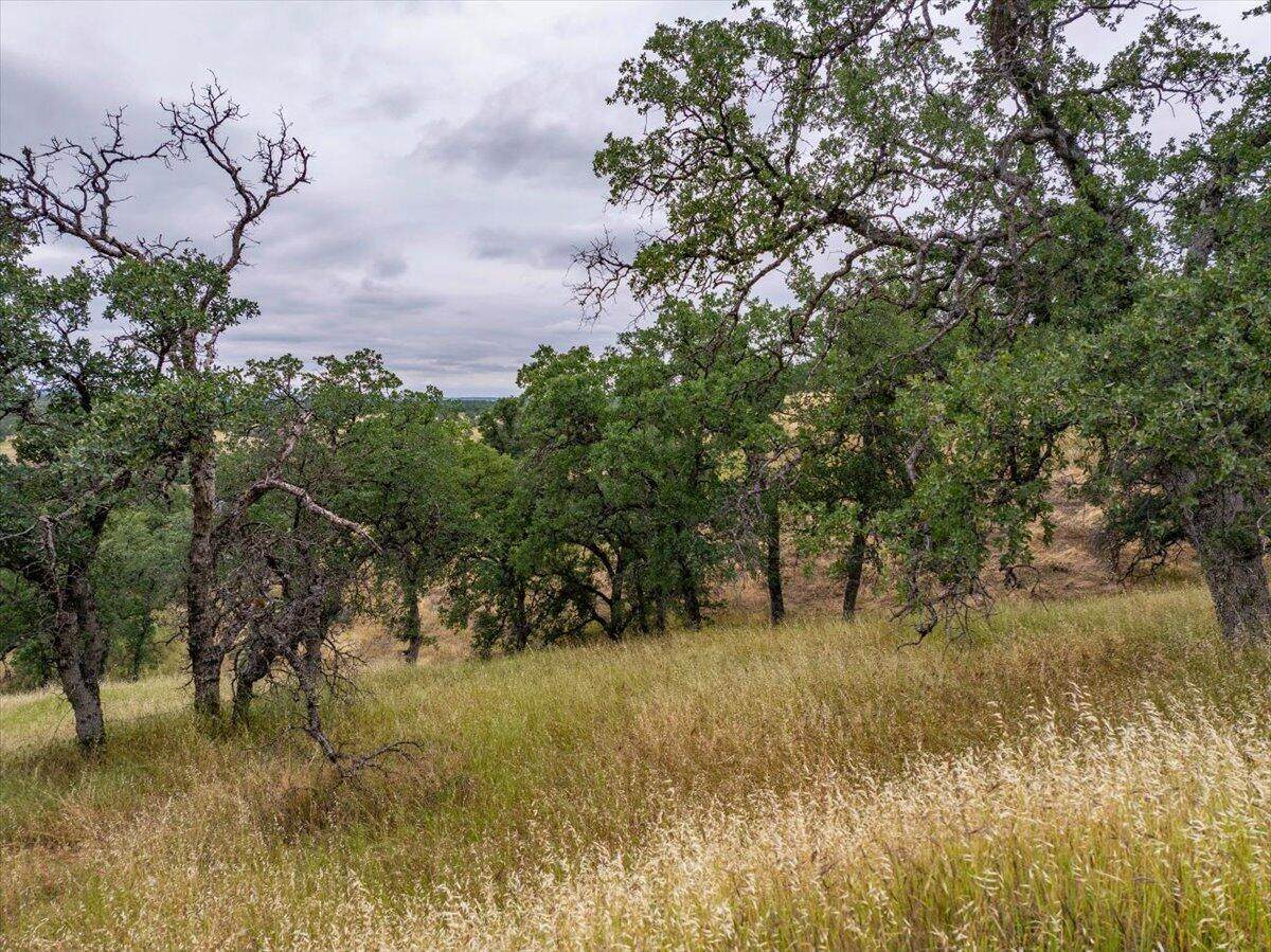 https://bt-photos.global.ssl.fastly.net/shasta/orig_boomver_1_26-2254-2.jpg