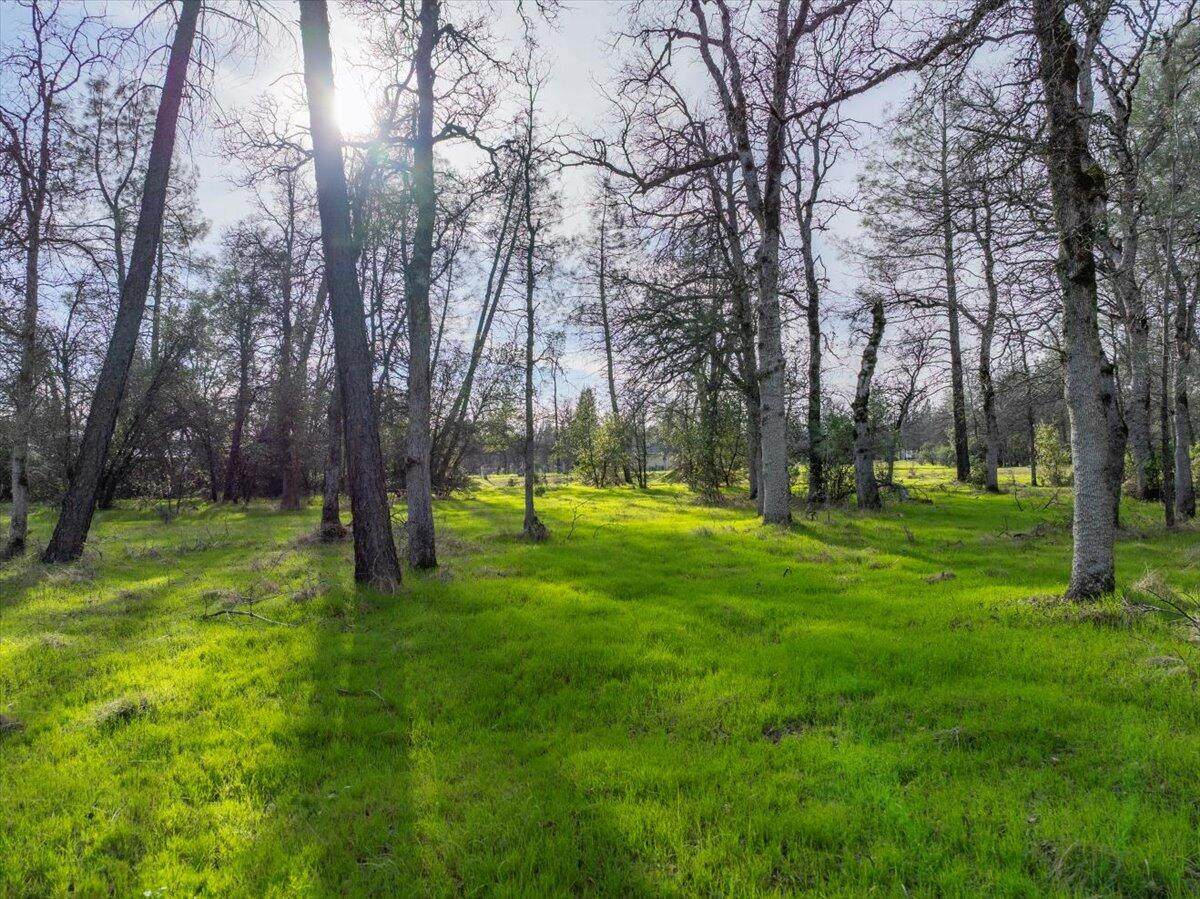 034 Soleado Lane - Photo 1