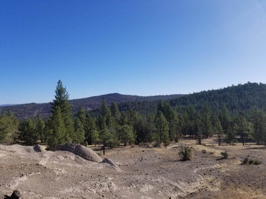 NSA Anderson Ranch Road - Photo 1