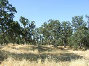  Oak Run Road - Photo 1