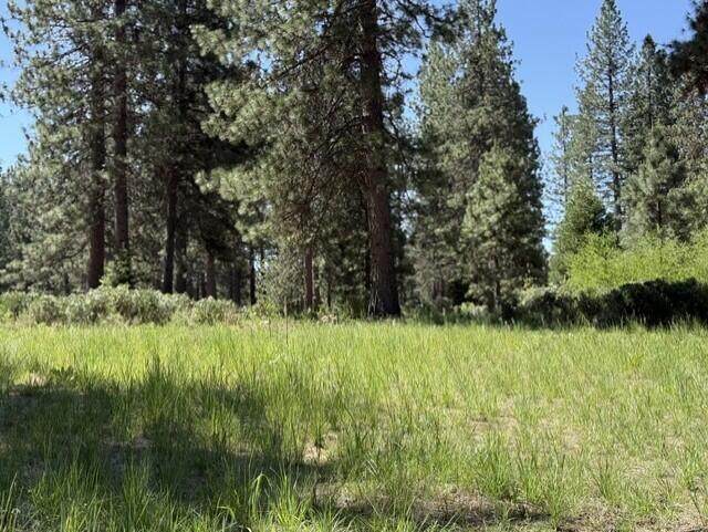 Lot 13 Haul Road - Photo 1