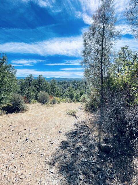 001 Oak Run Road - Photo 1